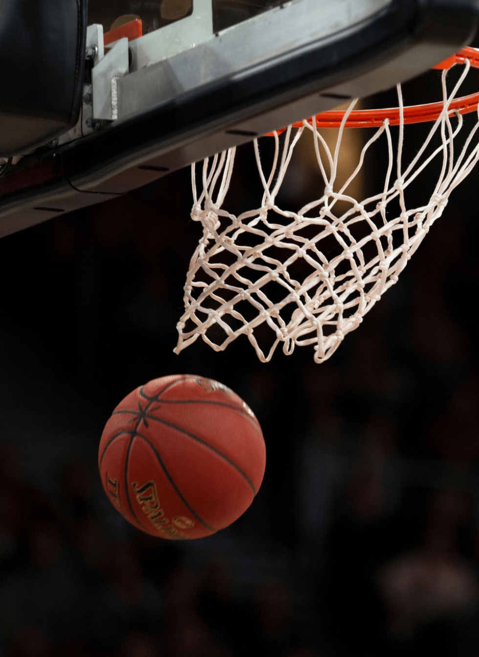 When Does Basketball Season Start? Basketball Museum of Illinois